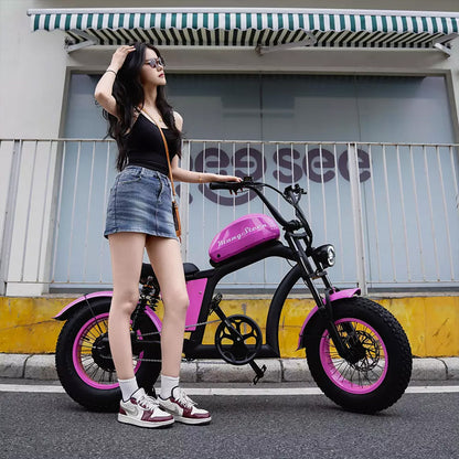 Mangosteen FT02 Mini E-Bike
