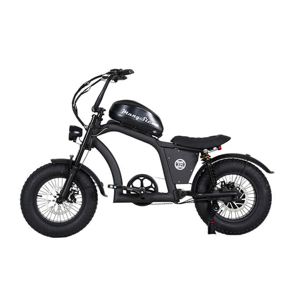 Mangosteen FT02 Mini E-Bike