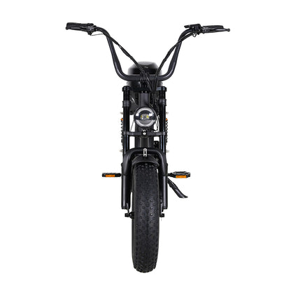 Mangosteen FT02 Mini E-Bike
