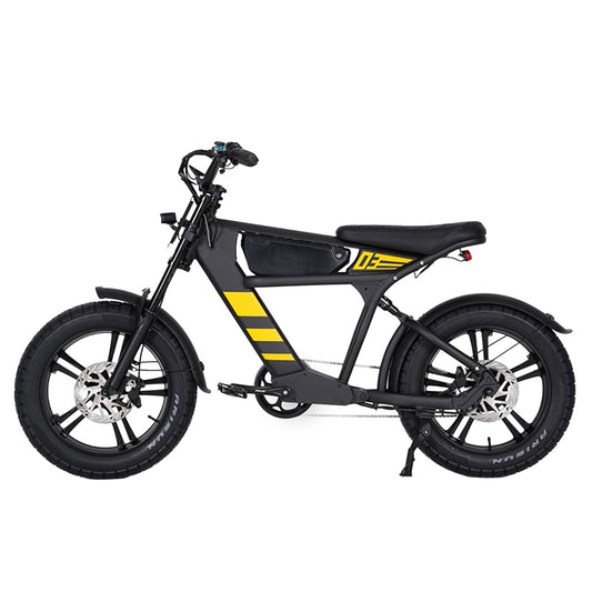 Mangosteen FT03 Electric Bike