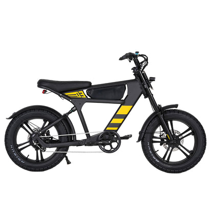 Mangosteen FT03 Electric Bike