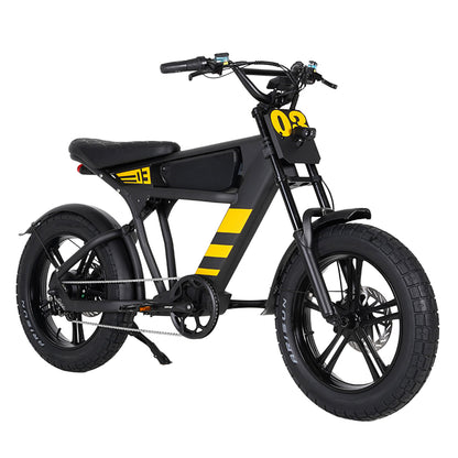 Mangosteen FT03 Electric Bike