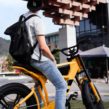 Mangosteen FT03 Electric Bike