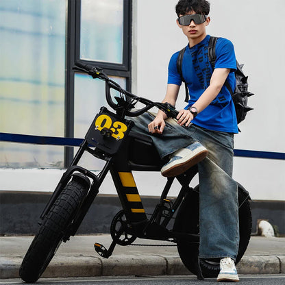 Mangosteen FT03 Electric Bike