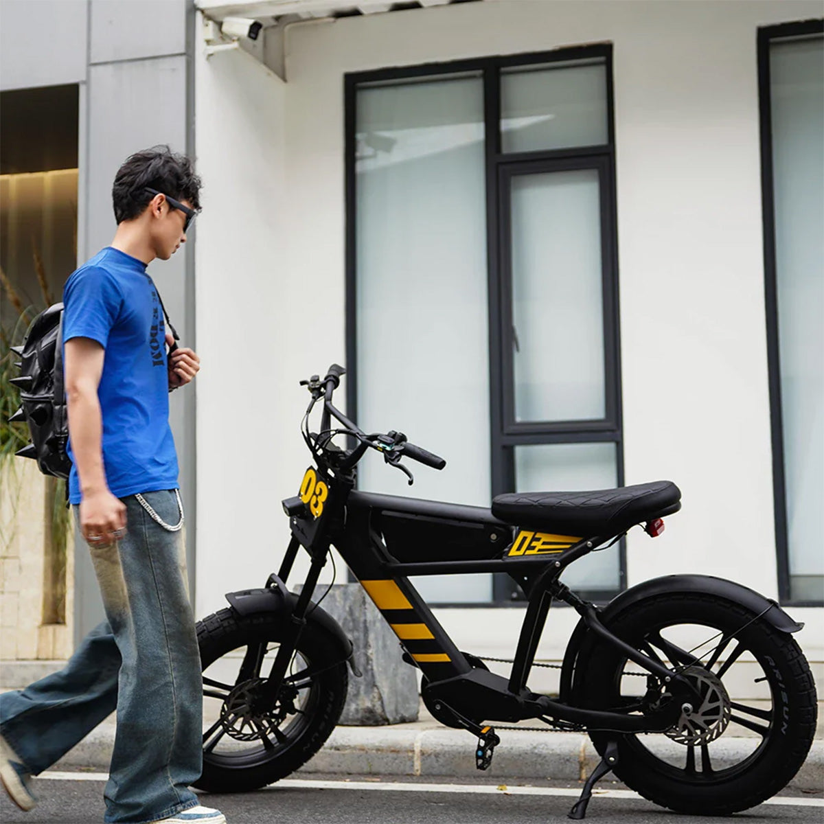 Mangosteen FT03 Electric Bike
