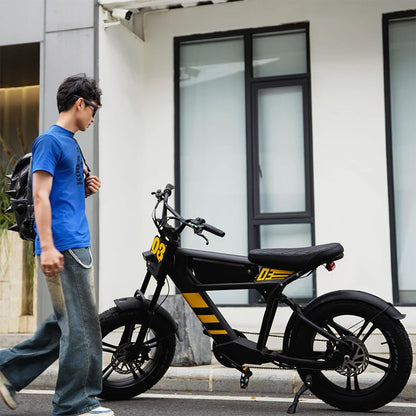Mangosteen FT03 Electric Bike