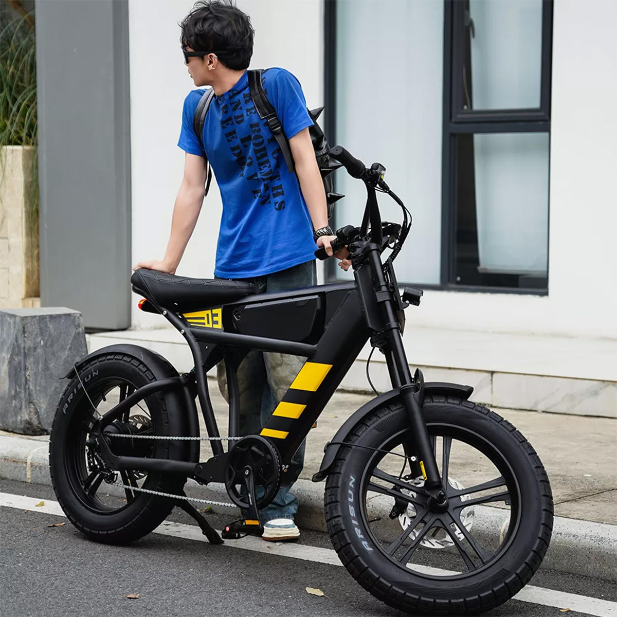 Mangosteen FT03 Electric Bike