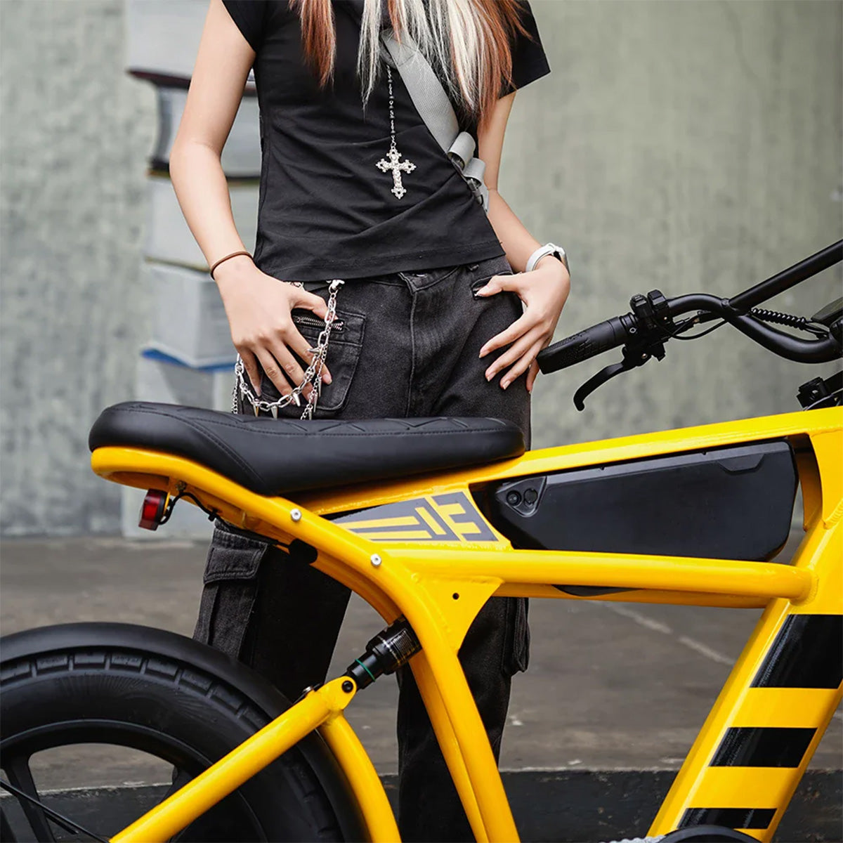 Mangosteen FT03 Electric Bike