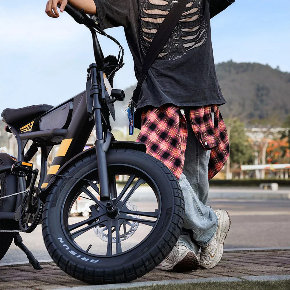 Mangosteen FT03 Electric Bike