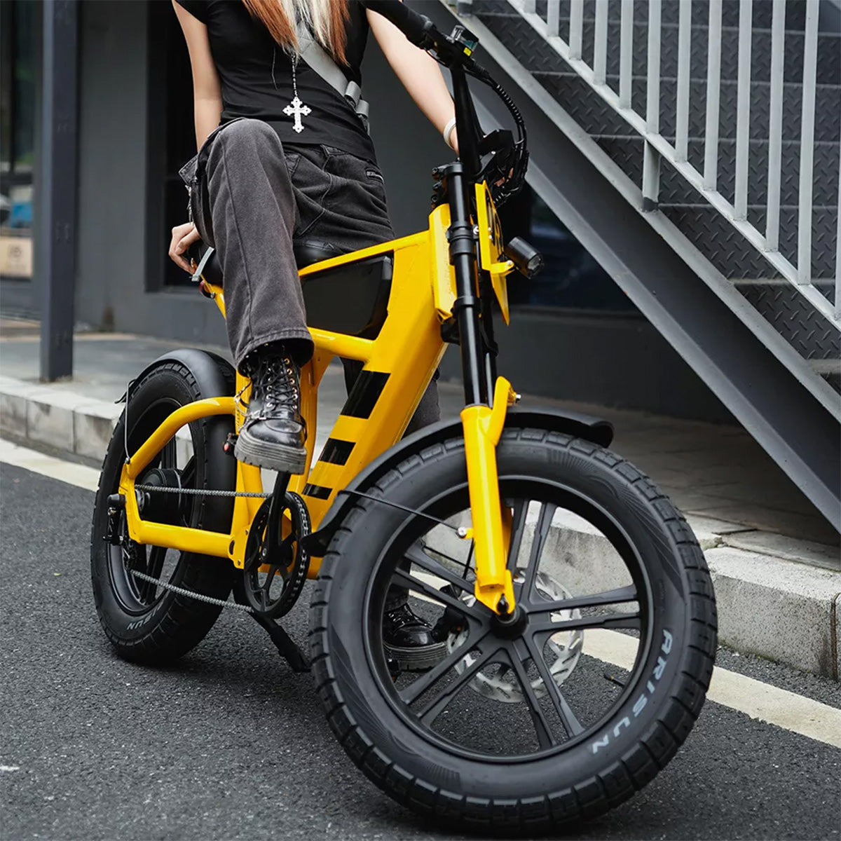 Mangosteen FT03 Electric Bike