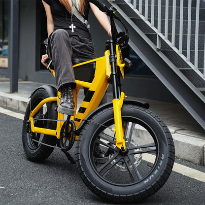 Mangosteen FT03 Electric Bike