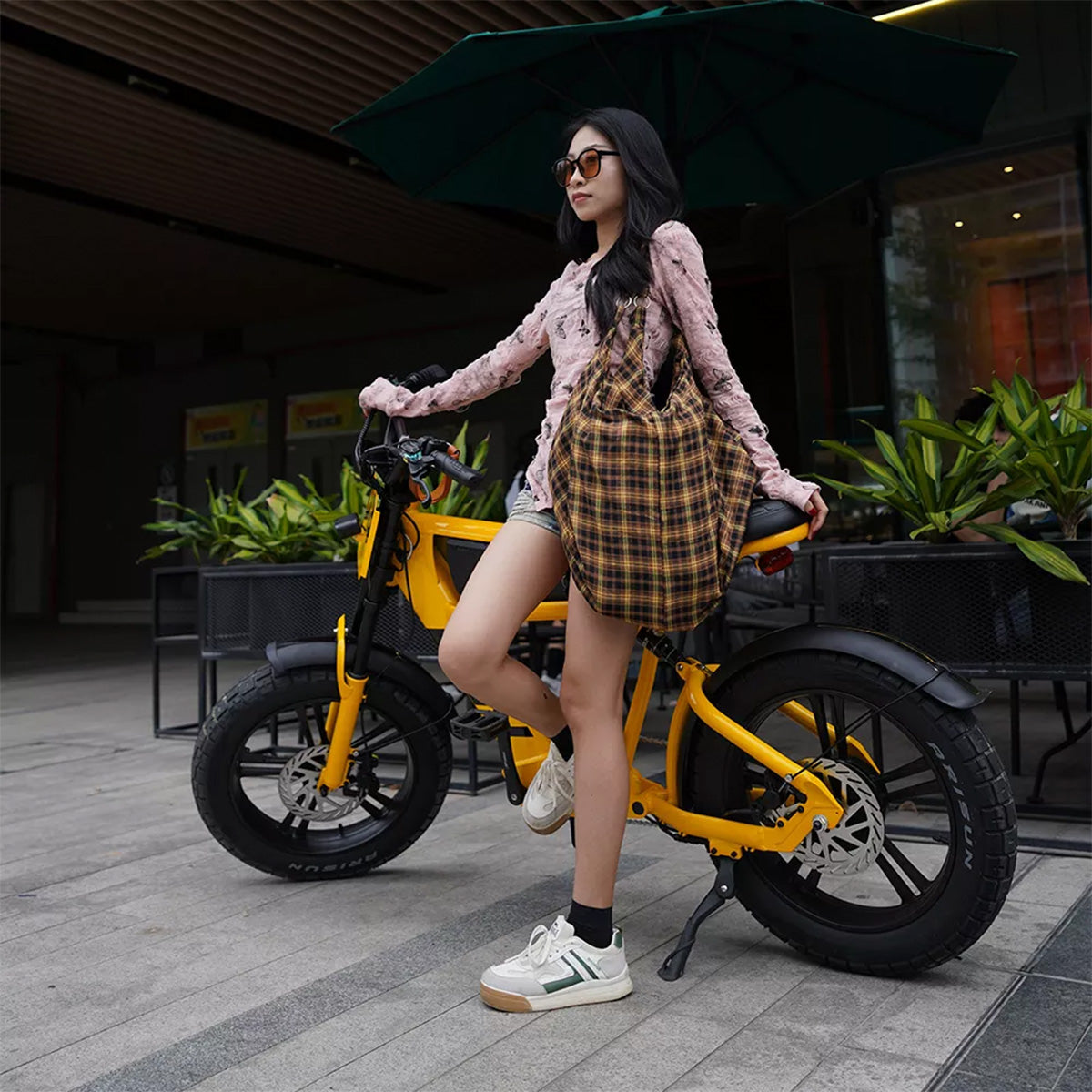 Mangosteen FT03 Electric Bike