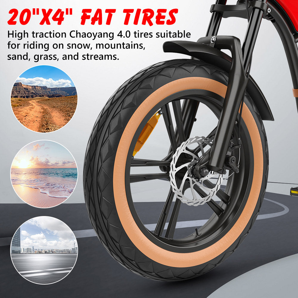 HIDOES B10 ELECTRIC BIKE