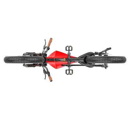 HIDOES B10 ELECTRIC BIKE