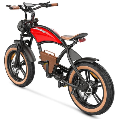 HIDOES B10 ELECTRIC BIKE