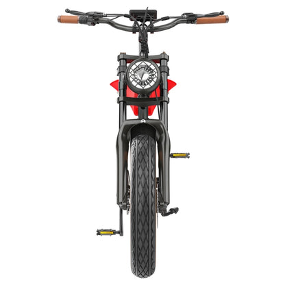 HIDOES B10 ELECTRIC BIKE