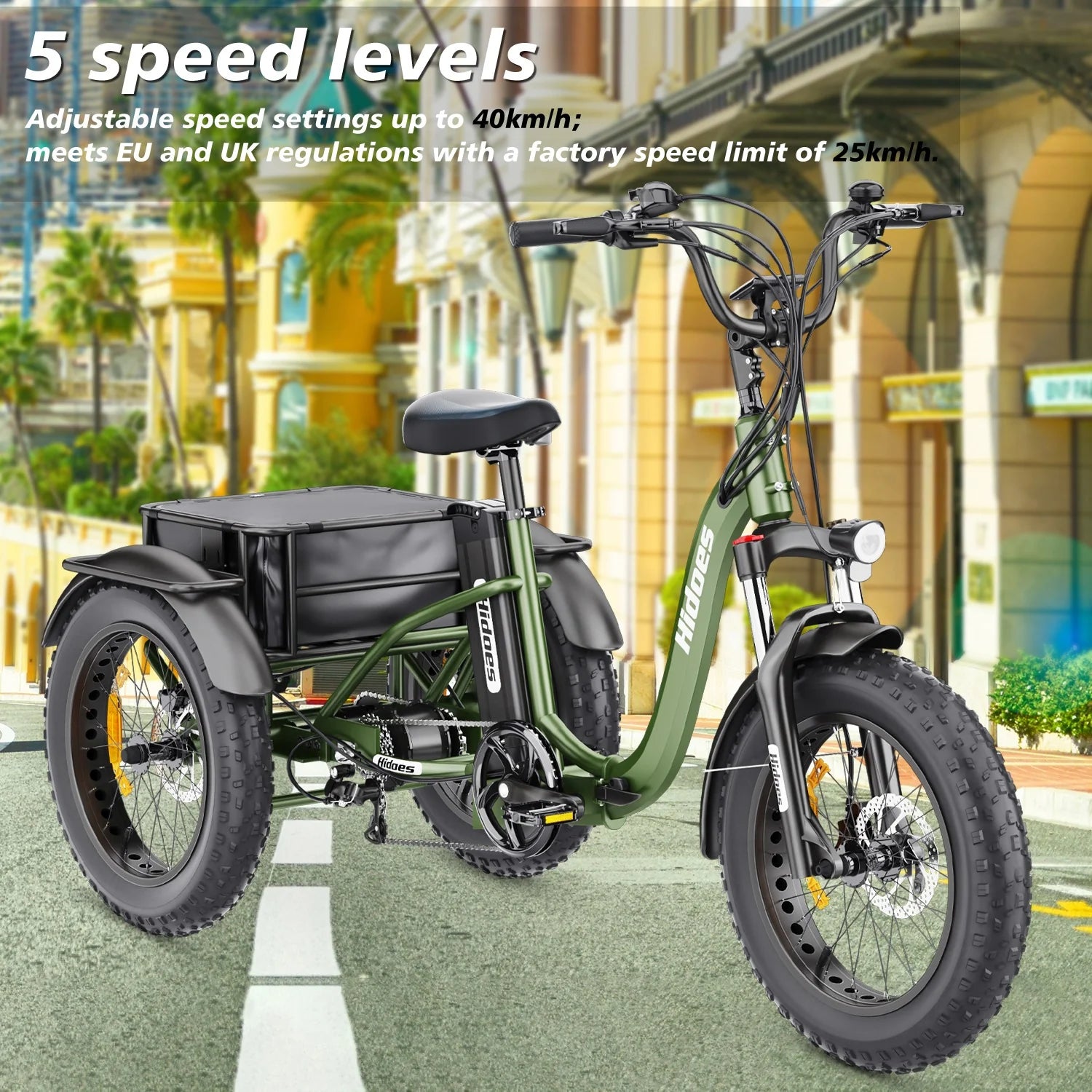 HIDOES ET1 TRICYCLE BIKE