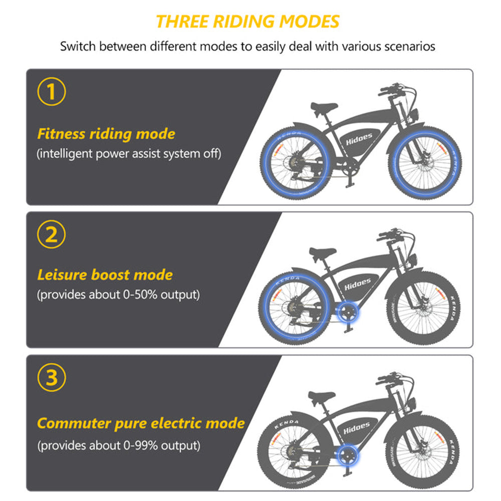 HIDOES B3 ELECTRIC BIKE