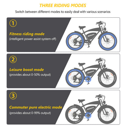 HIDOES B3 ELECTRIC BIKE