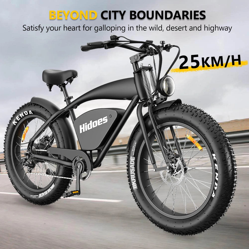 HIDOES B3 ELECTRIC BIKE