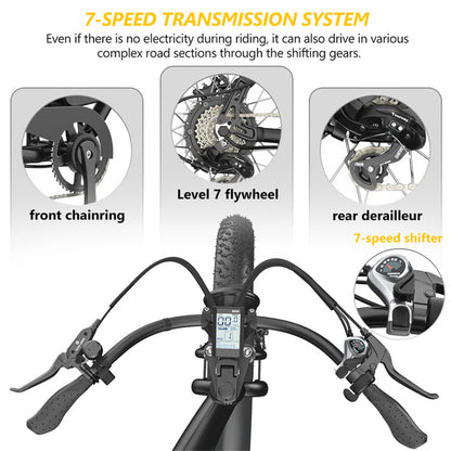 HIDOES B3 ELECTRIC BIKE