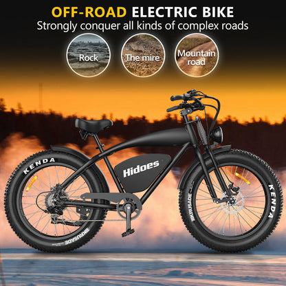 HIDOES B3 ELECTRIC BIKE