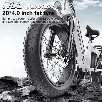 HIDOES BF1 ELECTRIC BIKE