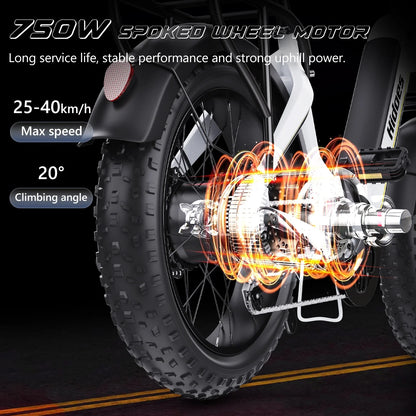 HIDOES BF1 ELECTRIC BIKE
