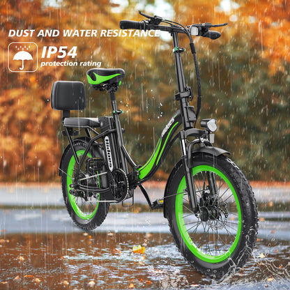 HIDOES C1 ELECTRIC BIKE