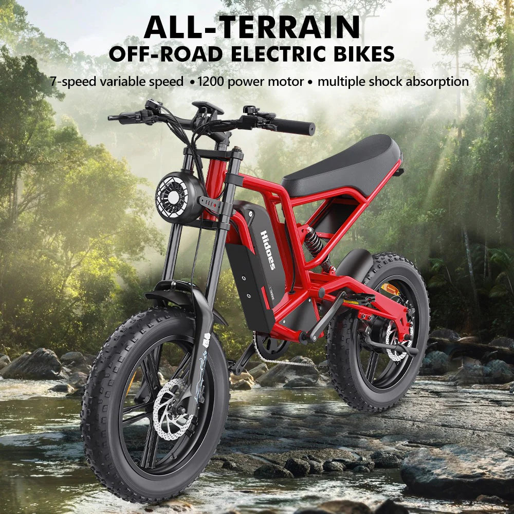 HIDOE B6 ELECTRIC BIKE