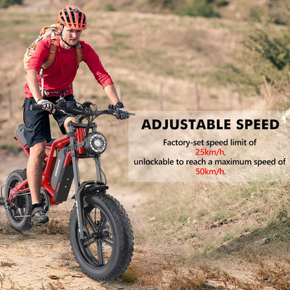 HIDOE B6 ELECTRIC BIKE
