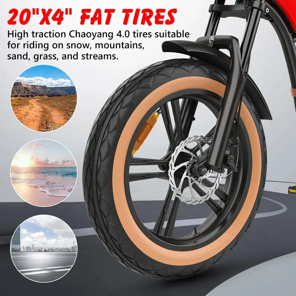 Hidoes B10 Fat Tire Electric Bike