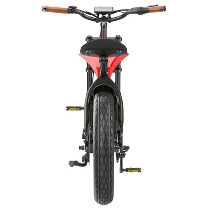 Hidoes B10 Fat Tire Electric Bike