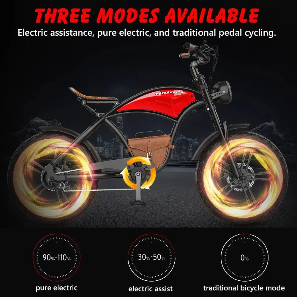 Hidoes B10 Fat Tire Electric Bike
