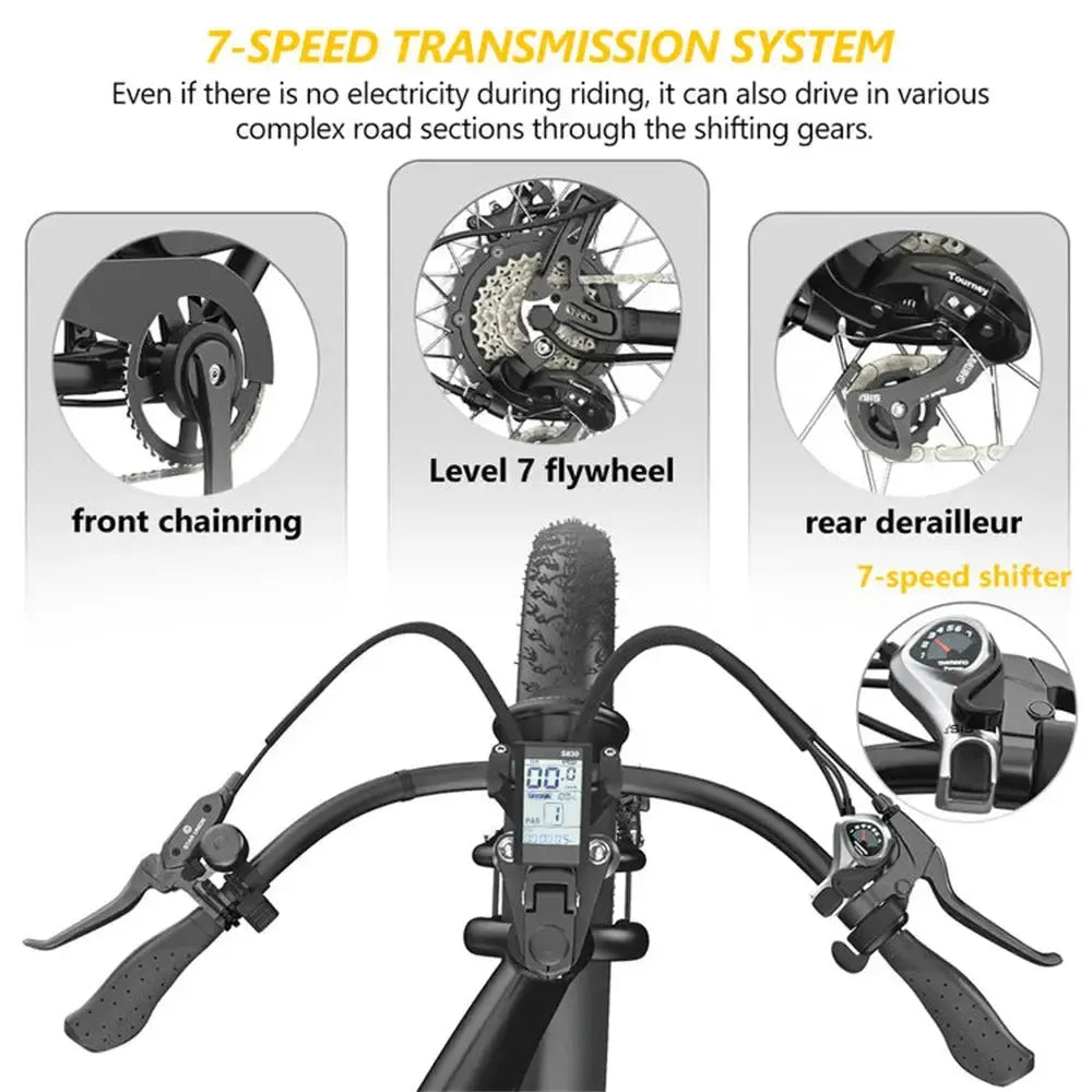 Hidoes B3 Electric Bike