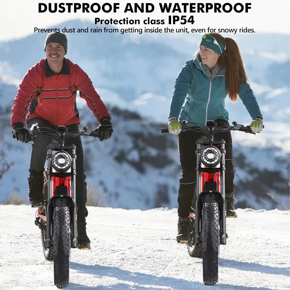 Hidoes B6 Electric Bike