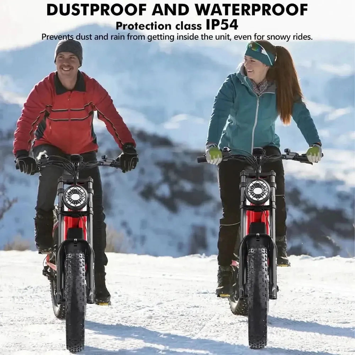 Hidoes B6 Electric Bike Fat Tyre Cruiser Long Range with Suspension up to 50 Km/h