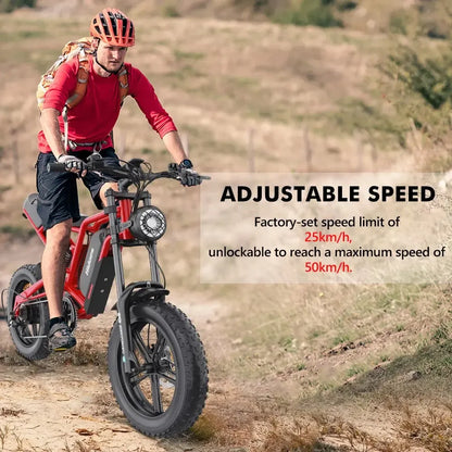 Hidoes B6 Electric Bike