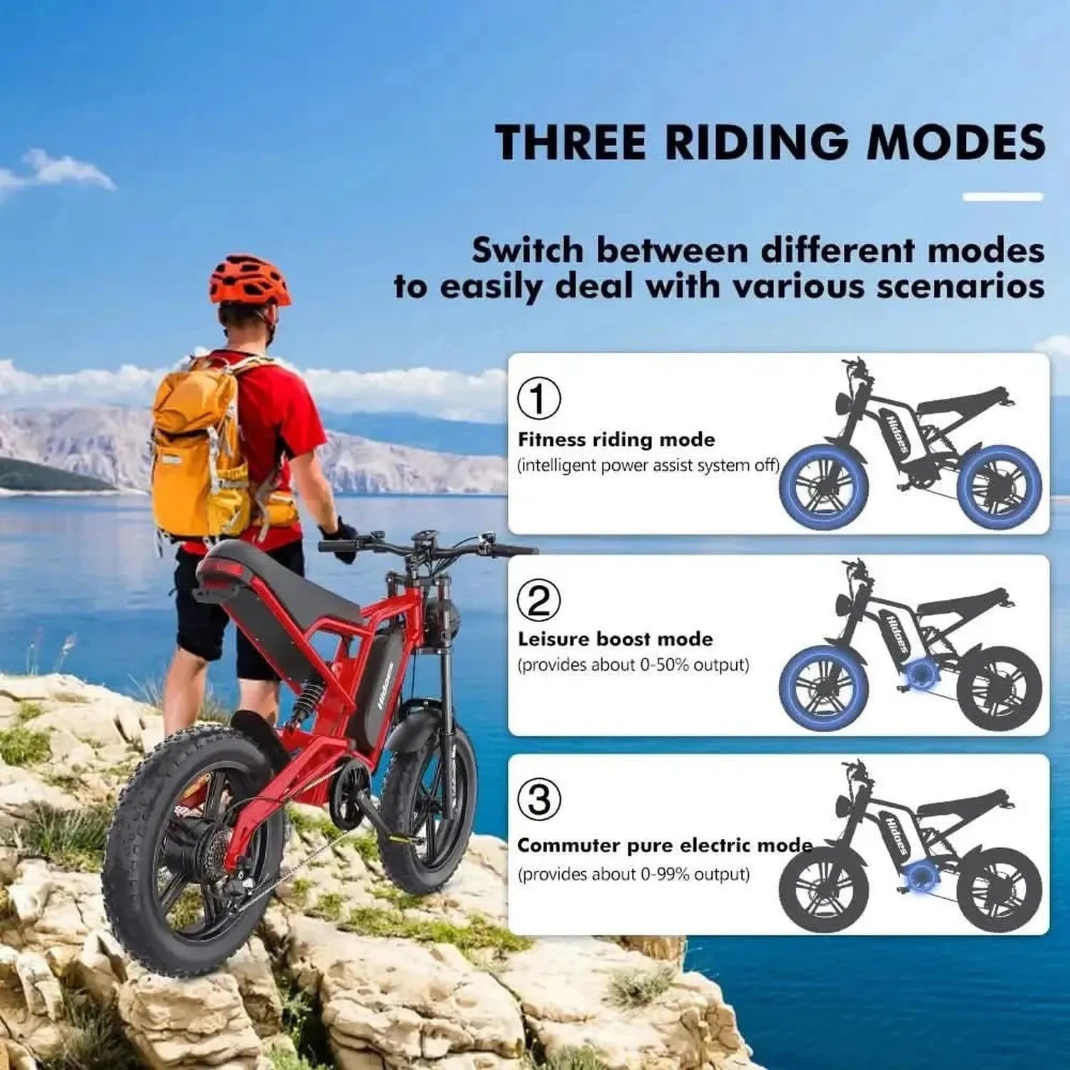 Hidoes B6 Electric Bike Fat Tyre Cruiser Long Range with Suspension up to 50 Km/h
