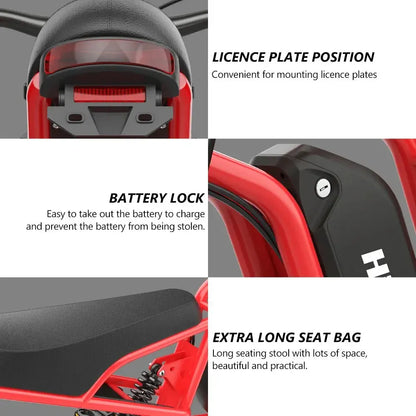 Hidoes B6 Electric Bike
