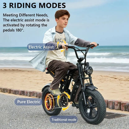 Hidoes B6 Mini Electric Bike for Kids & Teens Fat Tyre Cruiser up to 35 Km/h