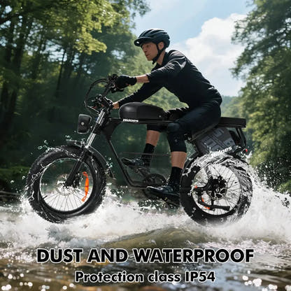 HIDOES B9 fat tyre electric bike – product image 11