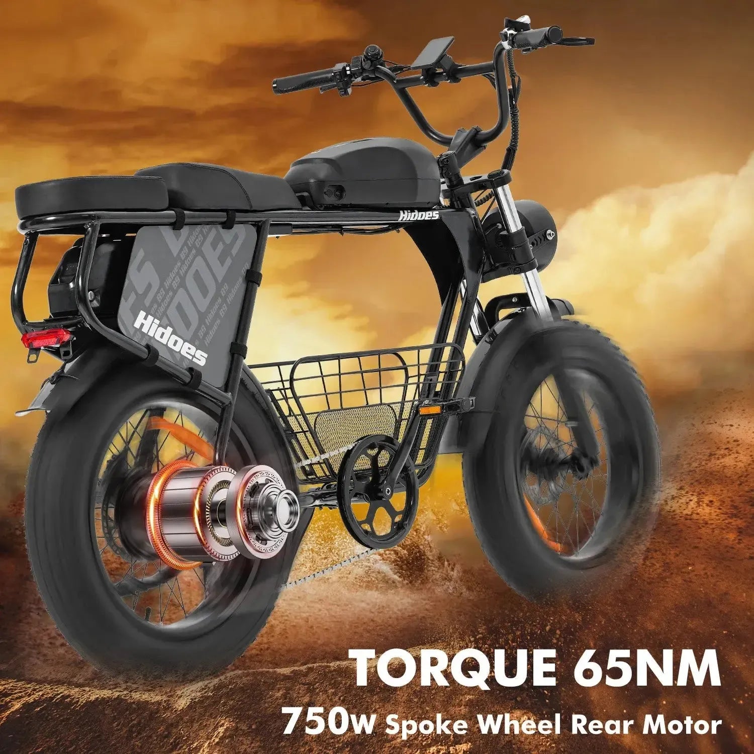 Hidoes B9 Fat Tire Electric Bike
