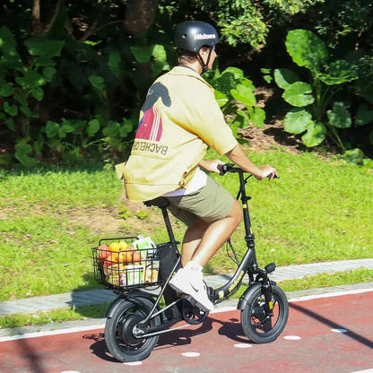 Hidoes C5 Electric Bike Compact Long Range Urban Commuter with 14 Inch Tyres up to 45 Km/h