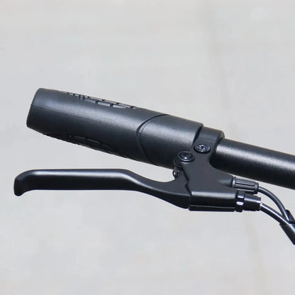 Hidoes C5 Folding Electric Bike