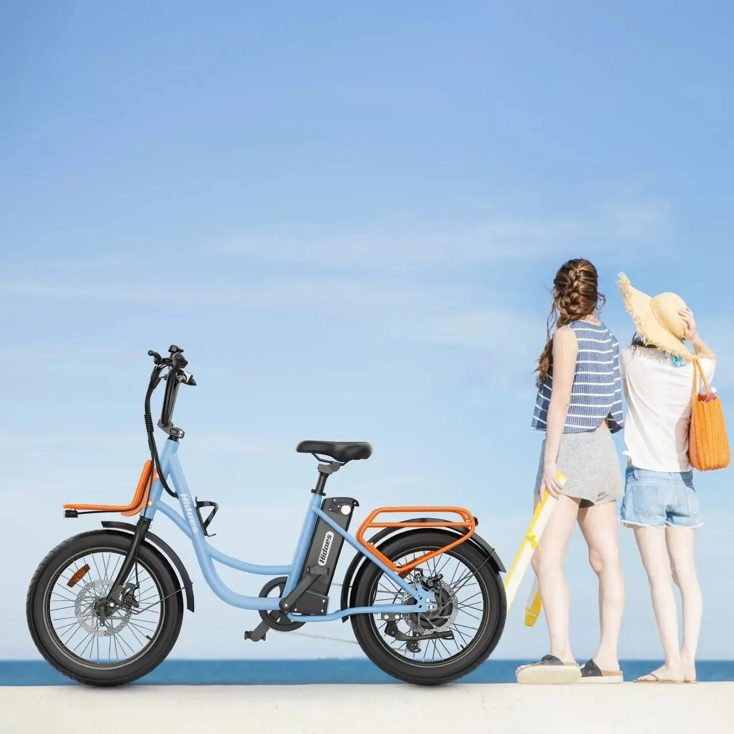 Hidoes C6 Folding Electric Bike
