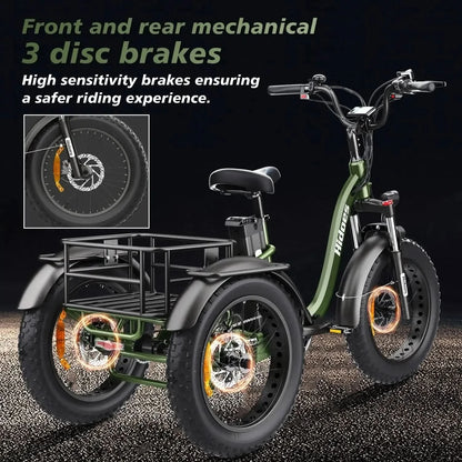 Hidoes ET1 Electric Bike Tricycle
