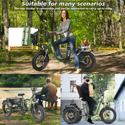 Hidoes ET1 Electric Bike Tricycle