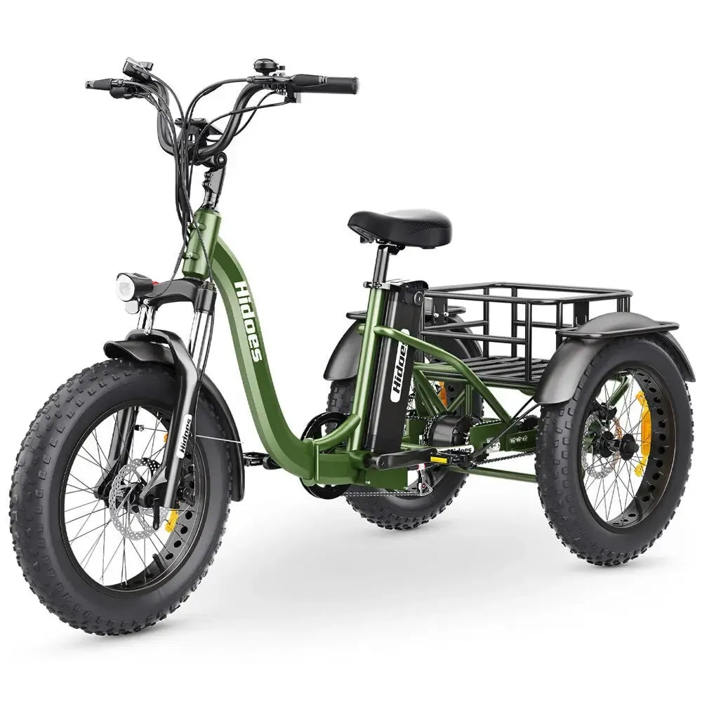 Hidoes ET1 Electric Bike Tricycle
