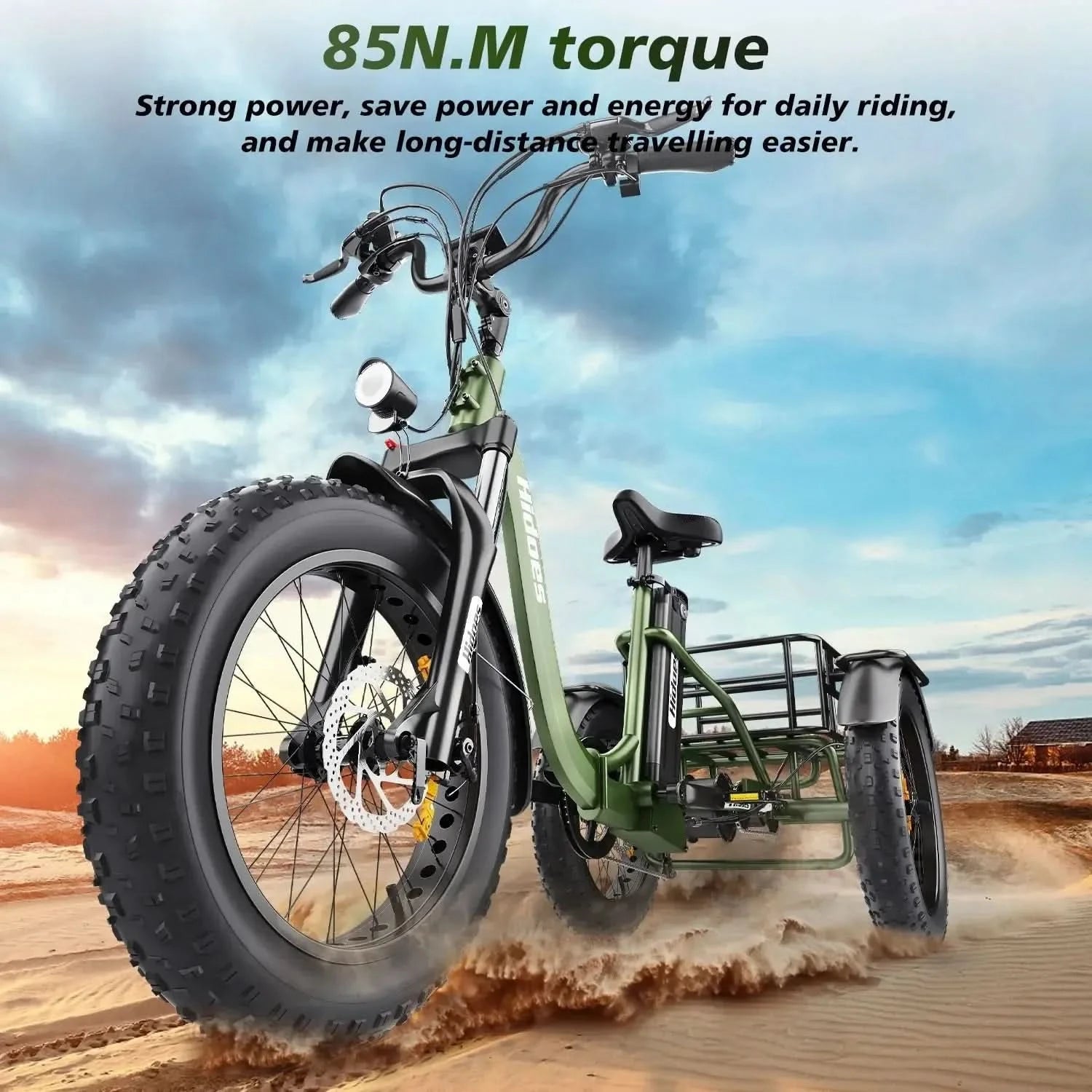 Hidoes ET1 Electric Bike Tricycle